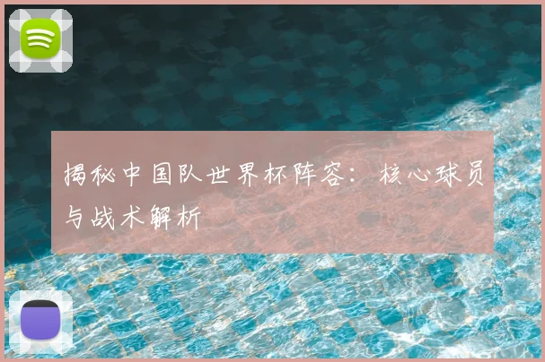 揭秘中国队世界杯阵容：核心球员与战术解析