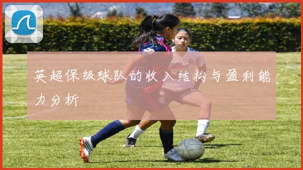 英超保级球队的收入结构与盈利能力分析